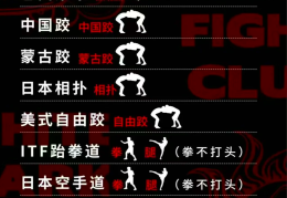 综合格斗有哪些格斗技(综合格斗有哪些格斗技术)