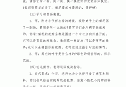 关于菊花菊花几月开教学反思中班游戏的信息