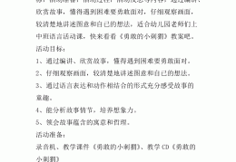 角色扮演活动教案反思中班(角色扮演活动教案反思中班语言)