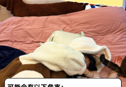 碎片化睡眠(碎片化睡眠怎样冶疗)