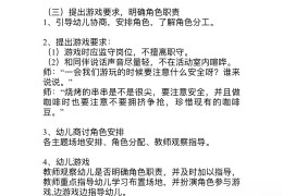 大班角色游戏指导计划(大班角色游戏指导计划体现幼儿性格特点的)