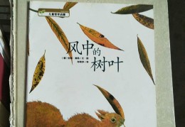 大风和树叶游戏教案大班(大风和树叶游戏教案大班反思)