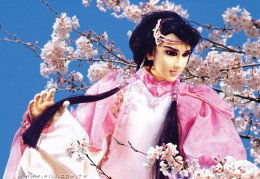 回旋刀第一集在线观看(回旋刀电视剧16集国语)