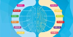 112种大脑训练游戏让你的大脑更灵活书籍的简单介绍