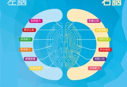 112种大脑训练游戏让你的大脑更灵活书籍的简单介绍