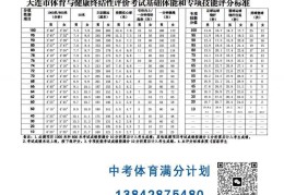 初中体育考题评分标准表(初中体育考题评分标准表格)