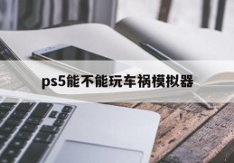 ps5能不能玩车祸模拟器(ps5能不能玩车祸模拟器游戏)