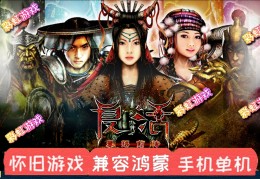 包含电脑单机角色扮演游戏推荐手游的词条