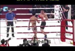 韩国格斗节目(韩国格斗节目排名)