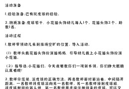 幼儿园体育游戏的活动方案(幼儿园体育游戏的活动方案及流程)