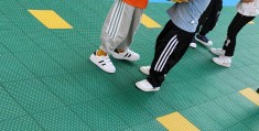 体育游戏属于五大领域哪个领域的(体育游戏属于五大领域哪个领域的内容)