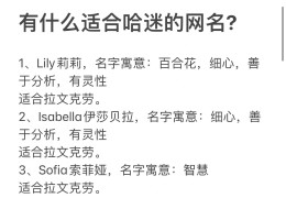 不好惹网名(不好惹的id名)
