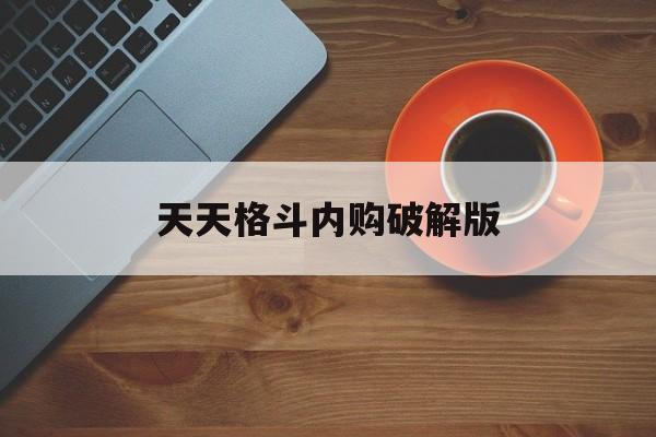 天天格斗内购破解版(天天格斗内购破解版2023)